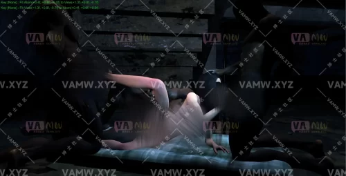 VAMSOY.四人主导.1 VAMSOY.QoS_4P.1